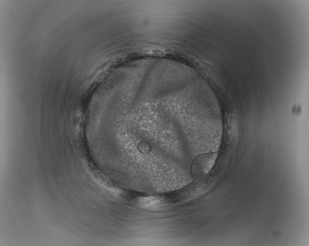 X0000112800511200909111239