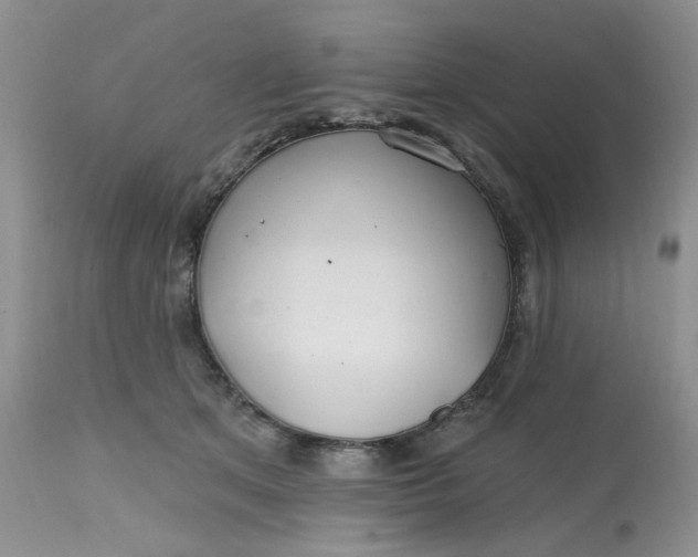 X0000112800513200909111239