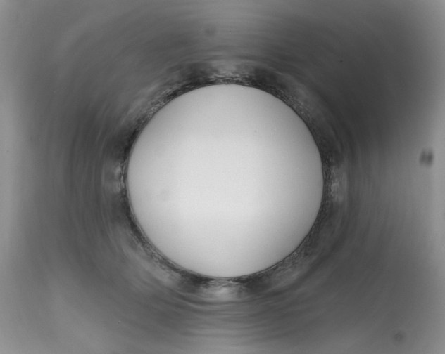 X0000112800514200909111239