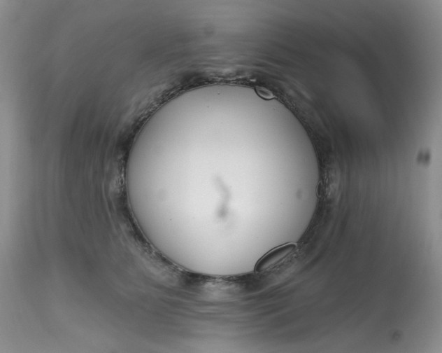 X0000112800515200909111239