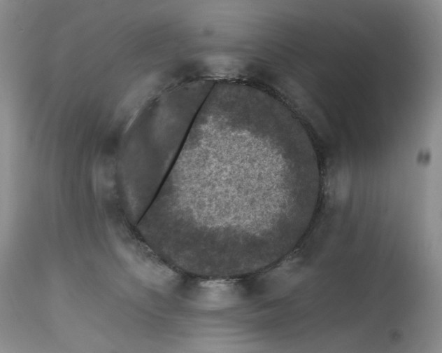 X0000112800516200909111239