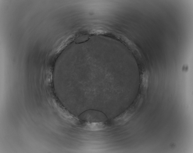 X0000112800517200909111239