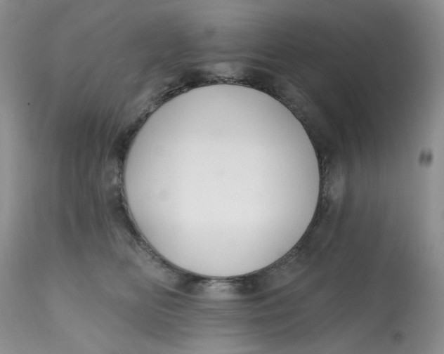 X0000112800518200909111239