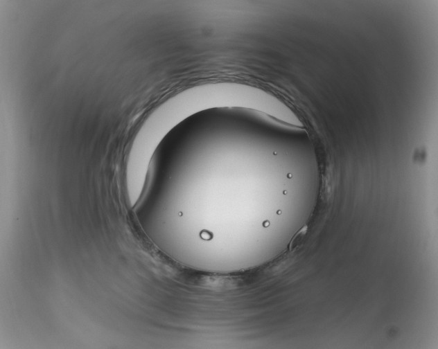 X0000112800520200909111239