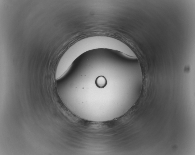 X0000112800521200909111239