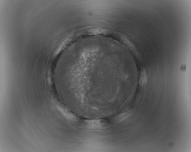 X0000112800524200909111239