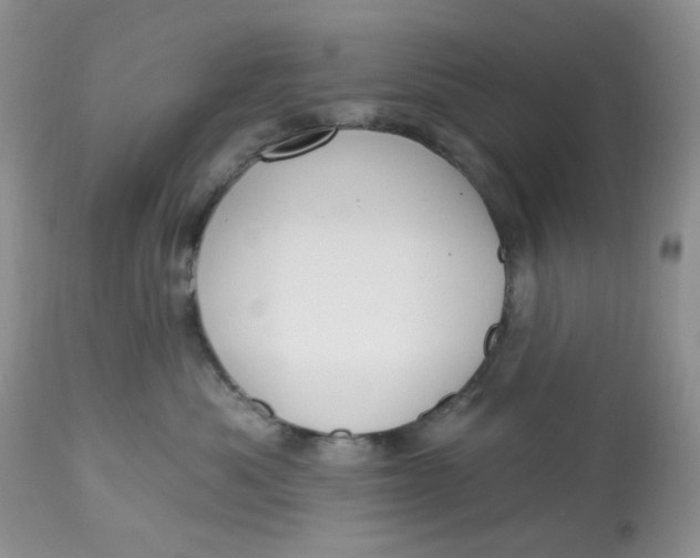 X0000112800525200909111239