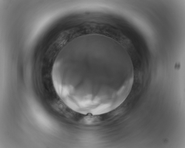 X0000112800526200909111239