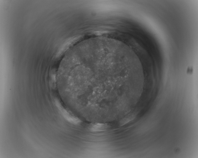 X0000112800527200909111239