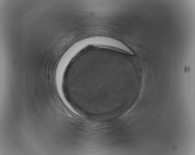 X0000112800528200909111239