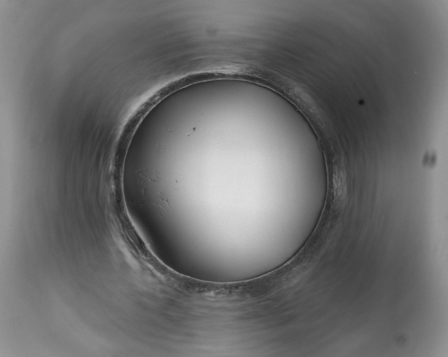 X0000112800532200909111238