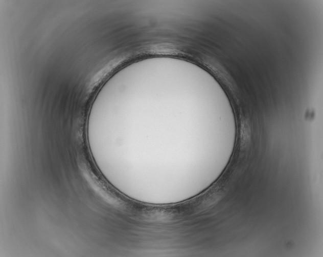 X0000112800533200909111238