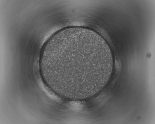 X0000112800534200909111238