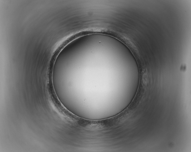 X0000112800536200909111238