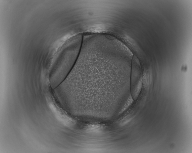 X0000112800540200909111238