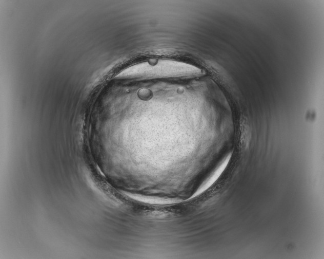 X0000112800542200909111238