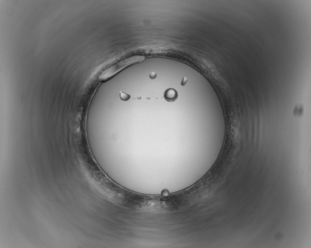 X0000112800543200909111238