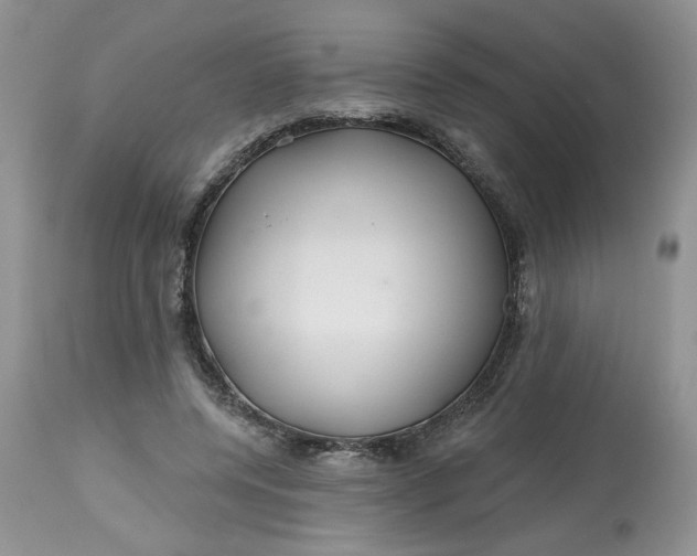 X0000112800544200909111238