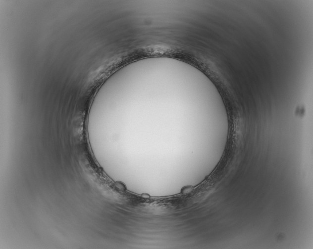 X0000112800545200909111238