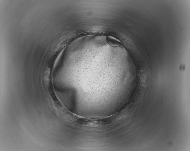 X0000112800550200909111238