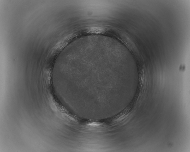 X0000112800551200909111238