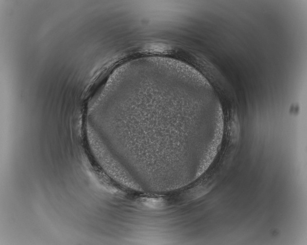 X0000112800552200909111238