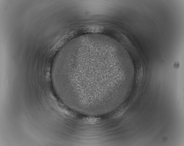 X0000112800553200909111238