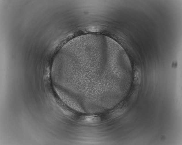 X0000112800555200909111238