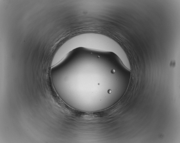 X0000112800556200909111238