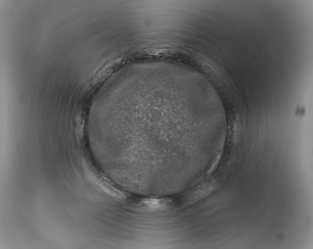 X0000112800558200909111238