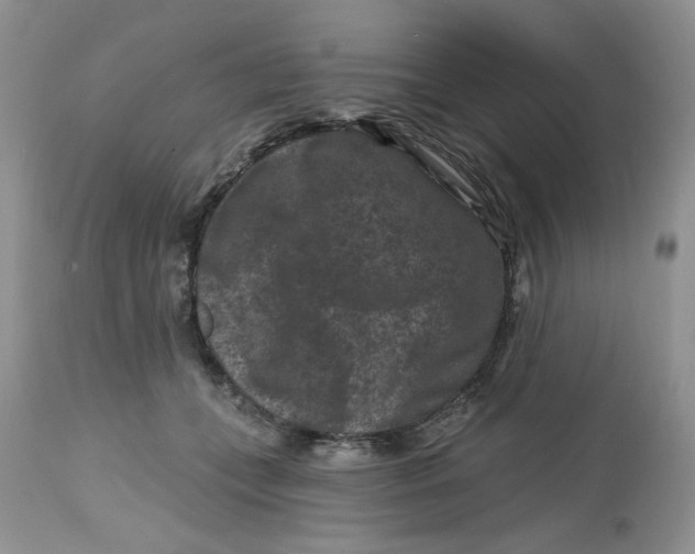 X0000112800559200909111238