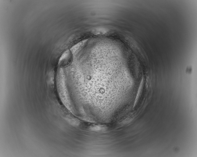 X0000112800561200909111238