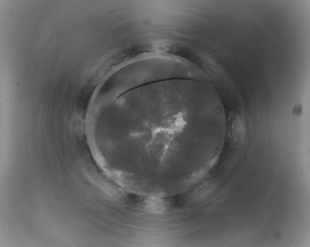 X0000112800562200909111238