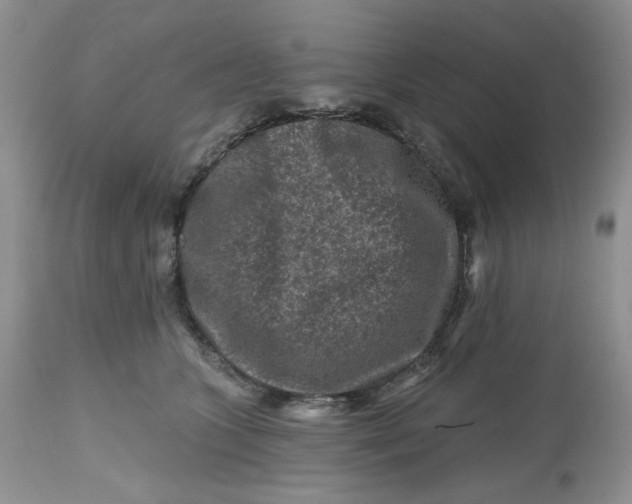 X0000112800563200909111238