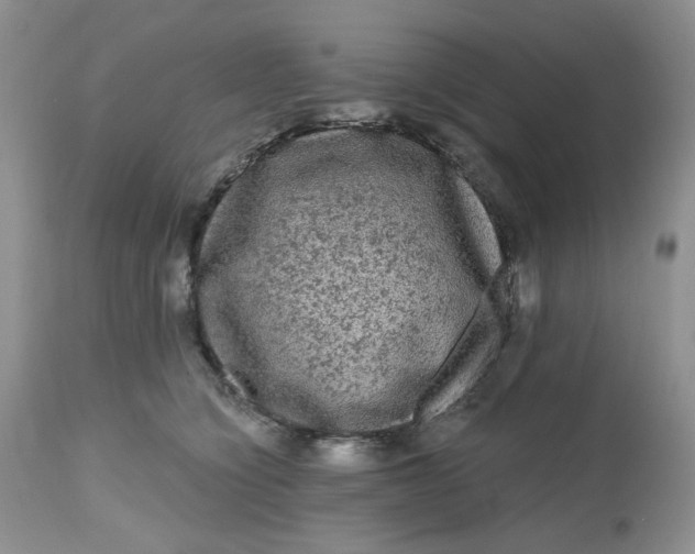 X0000112800564200909111238