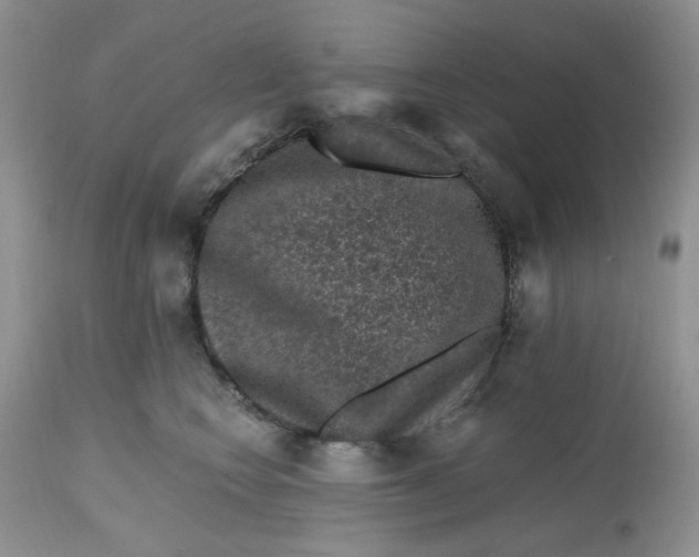 X0000112800566200909111238