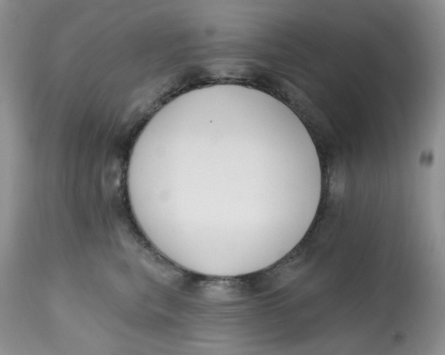 X0000112800567200909111238