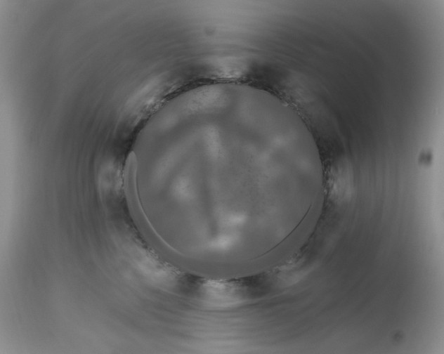 X0000112800568200909111238