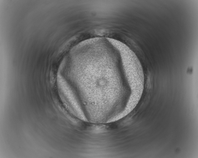 X0000112800569200909111238