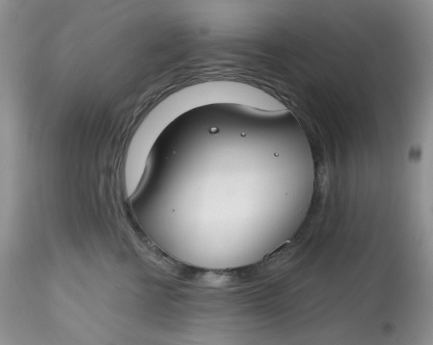 X0000112800570200909111238