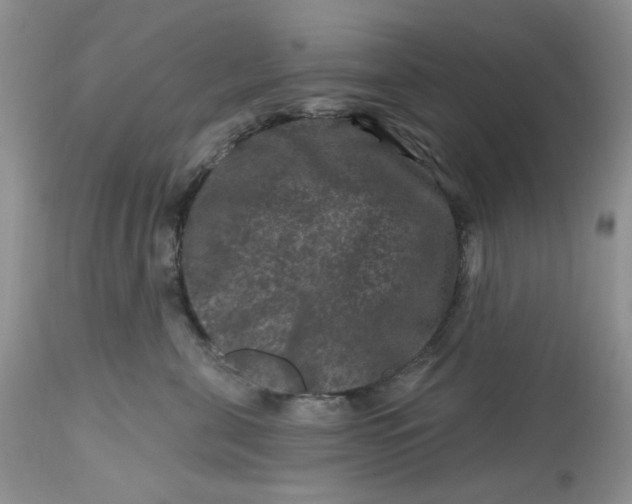 X0000112800571200909111238