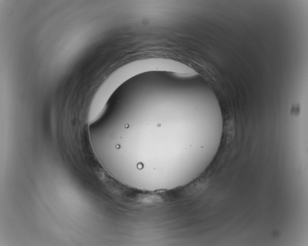 X0000112800572200909111238