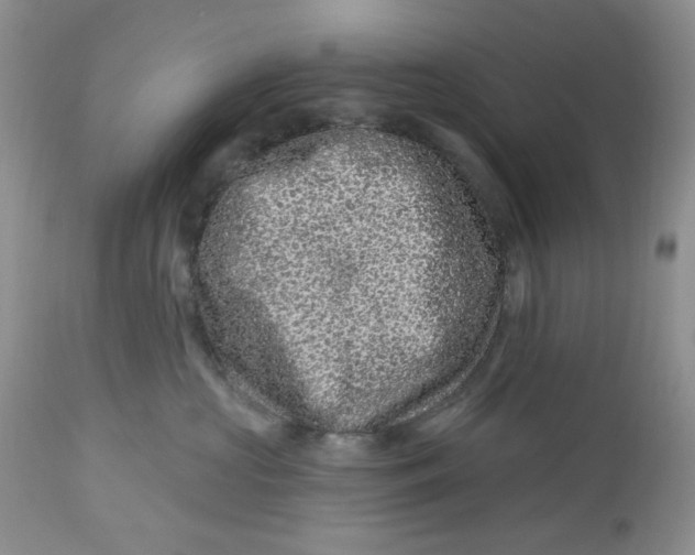 X0000112800573200909111238