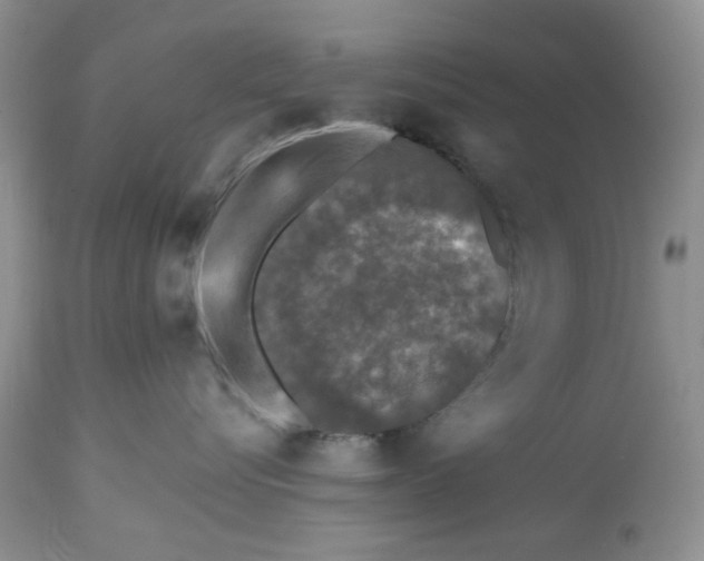 X0000112800576200909111239