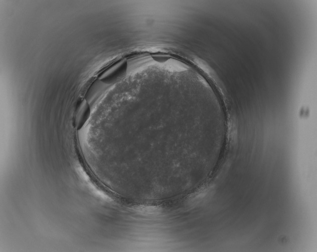 X0000112800577200909111238