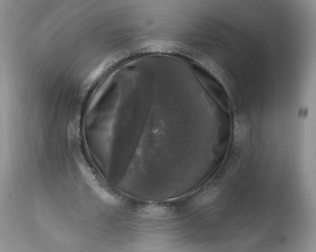 X0000112800581200909111238