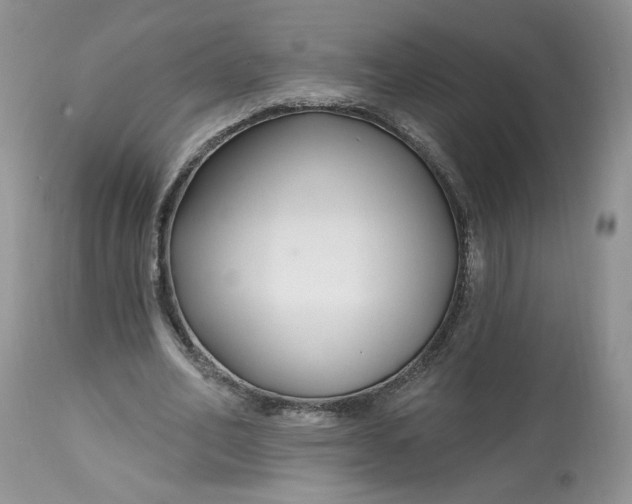 X0000112800582200909111238