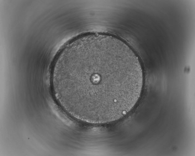 X0000112800584200909111238