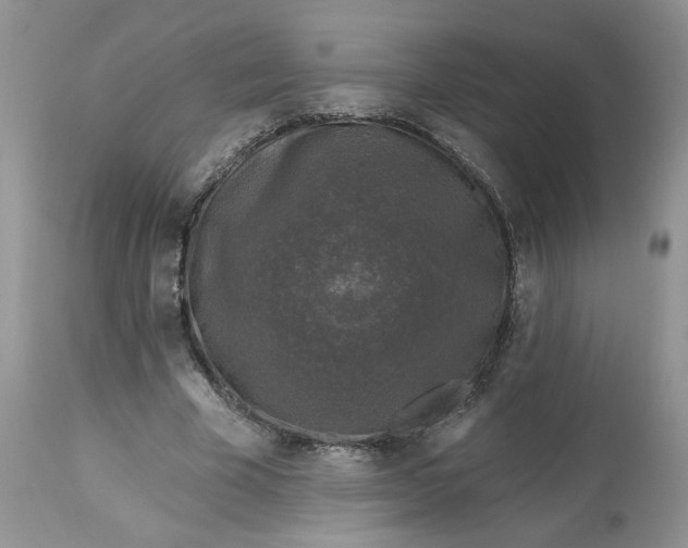 X0000112800585200909111238