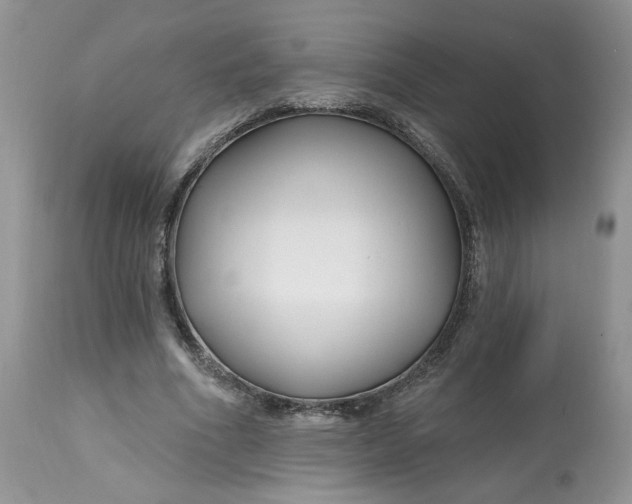 X0000112800586200909111238